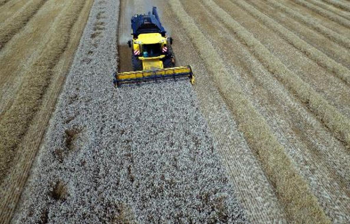 Klimaatpanel van VN roept op tot ander gebruik van land en voedsel