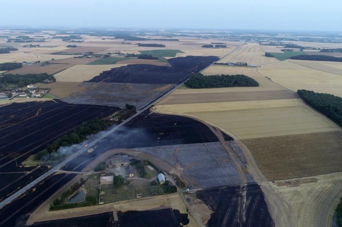 Klimaatpanel VN: "Moeten land en voedsel anders gebruiken"