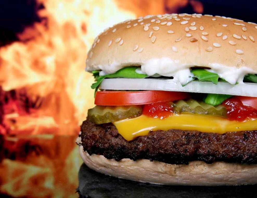 Veel fastfood bevat schadelijke chemicaliën