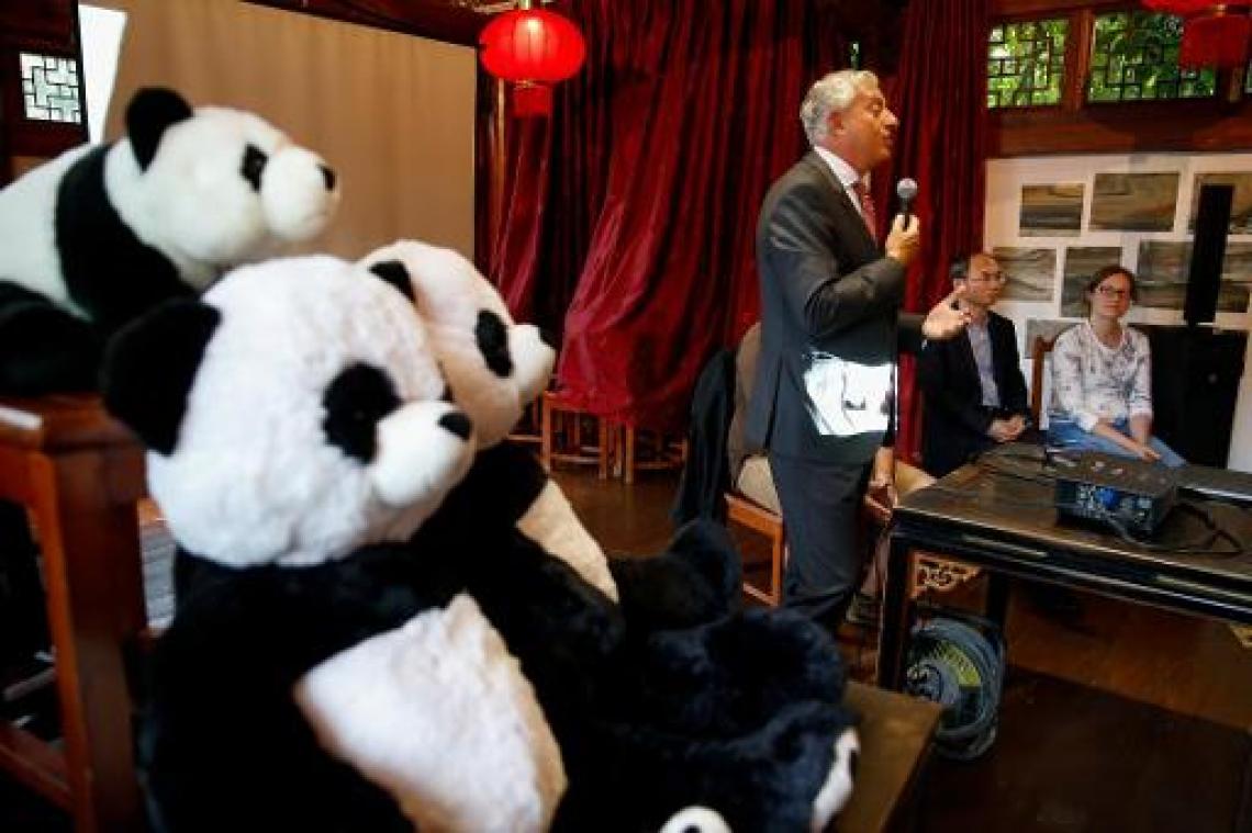 "Geboorte van twee babypanda's overtreft onze verwachtingen"