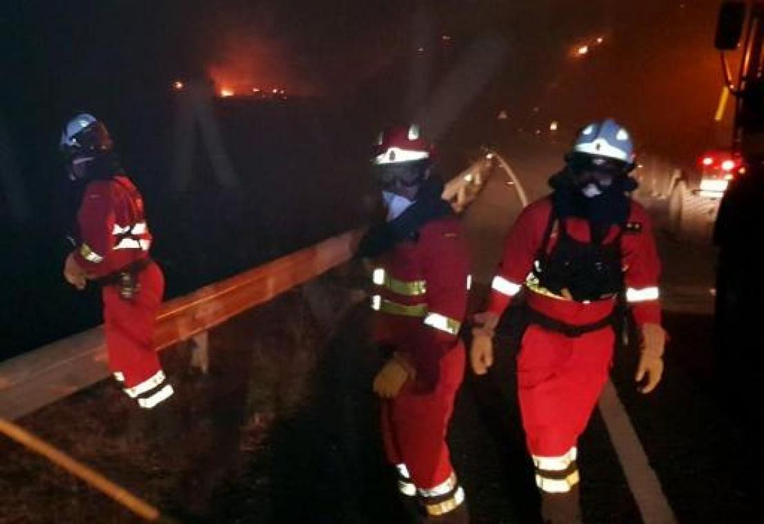 Bosbrand op Gran Canaria "onder controle"
