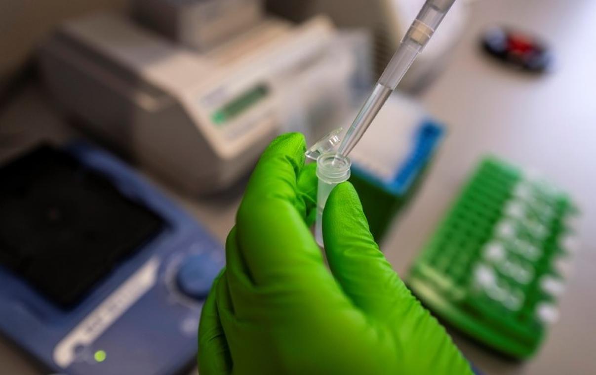 Uiterlijk voorspellen aan de hand van DNA lukt steeds beter
