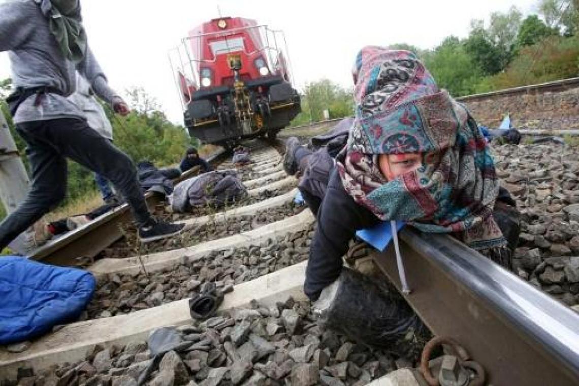 Duitse politie beëindigt klimaatprotest waarbij trein met VW-auto's gestopt werd