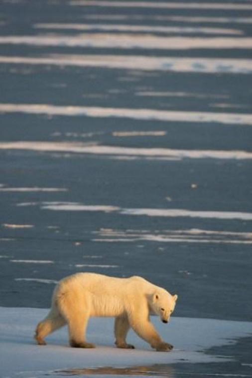 Klimaatsceptici beter vertegenwoordigd in Engelstalige media dan wetenschappers