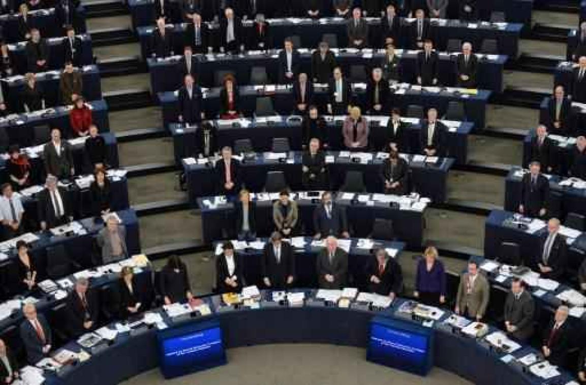 Europees Parlement verleent veiligheidsdiensten toegang tot passagiersgegevens