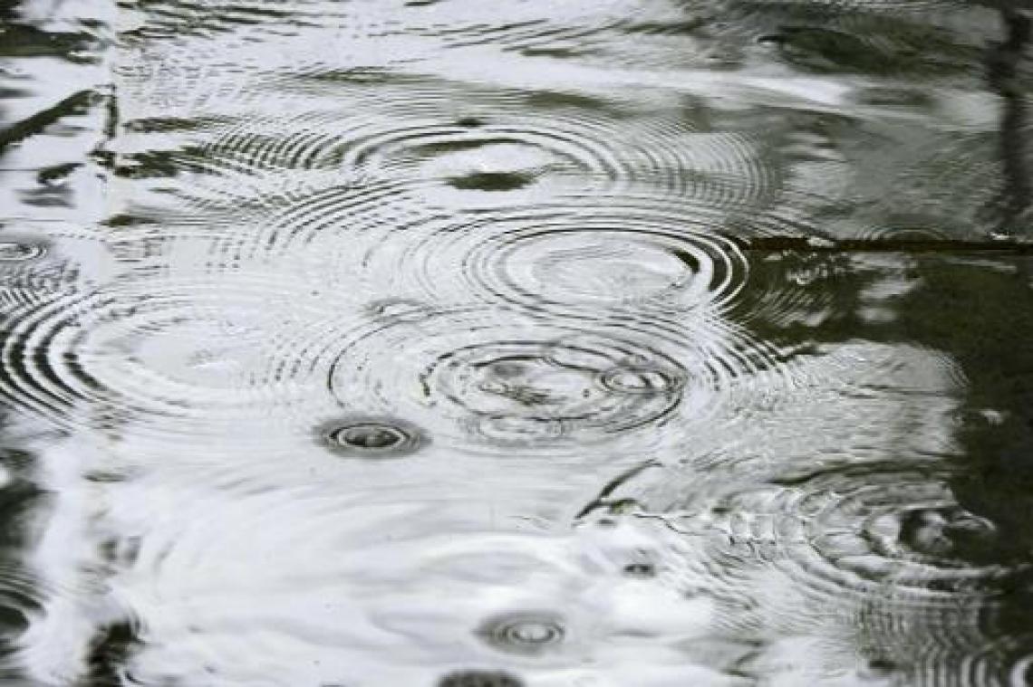 Regen ruimt komende dagen plaats voor zomerzon