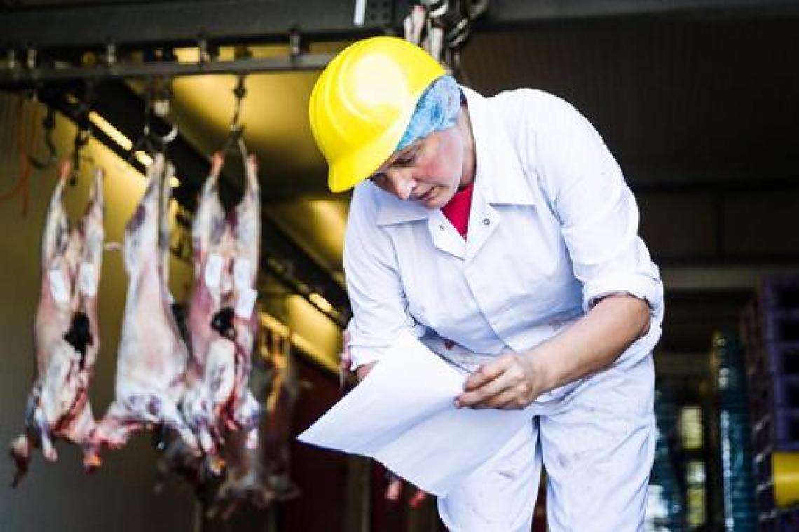 Helft minder dieren geslacht tijdens Offerfeest