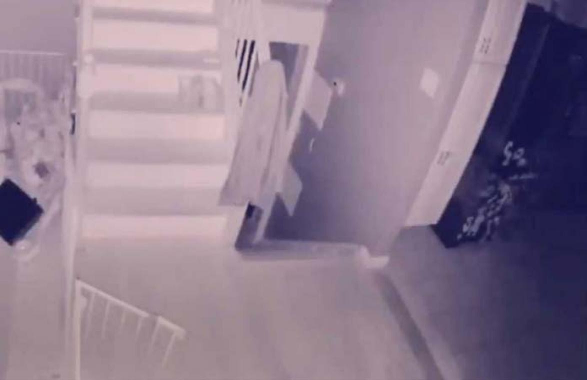VIDEO. Camera in huis filmt 'geest van jongetje en hondje' die door kamer lopen