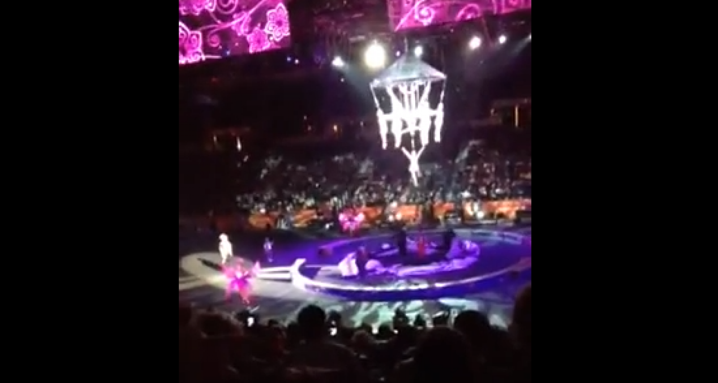 Acht acrobaten storten neer tijdens circusvoorstelling