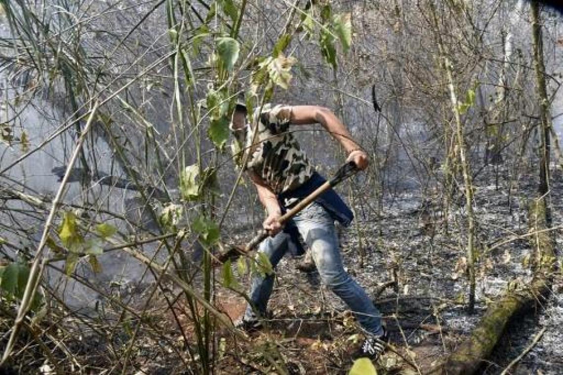 Bosbranden in Bolivia legden al bijna miljoen hectare in de as