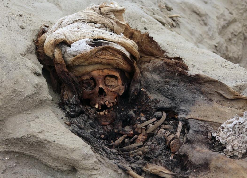 Archeologen leggen massagraf met 227 kinderoffers bloot