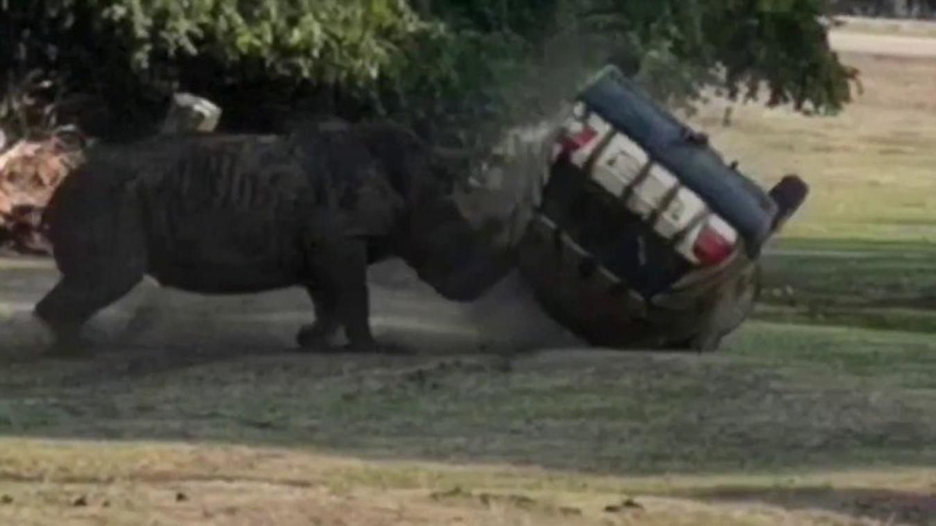 VIDEO. Razende neushoorn doet auto drie keer kantelen