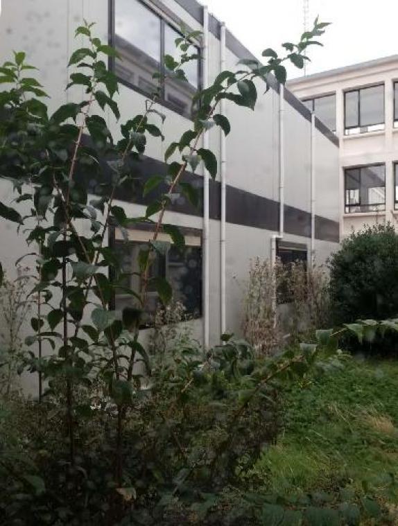 NAVO laat kantoormodules van voormalig hoofdkwartier per opbod verkopen