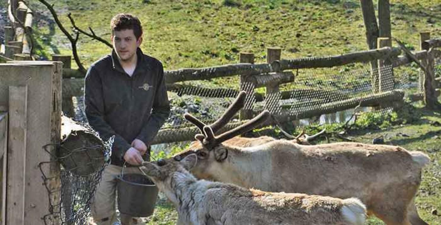 De werkdag van... de dieren­verzorgers van Pairi Daiza