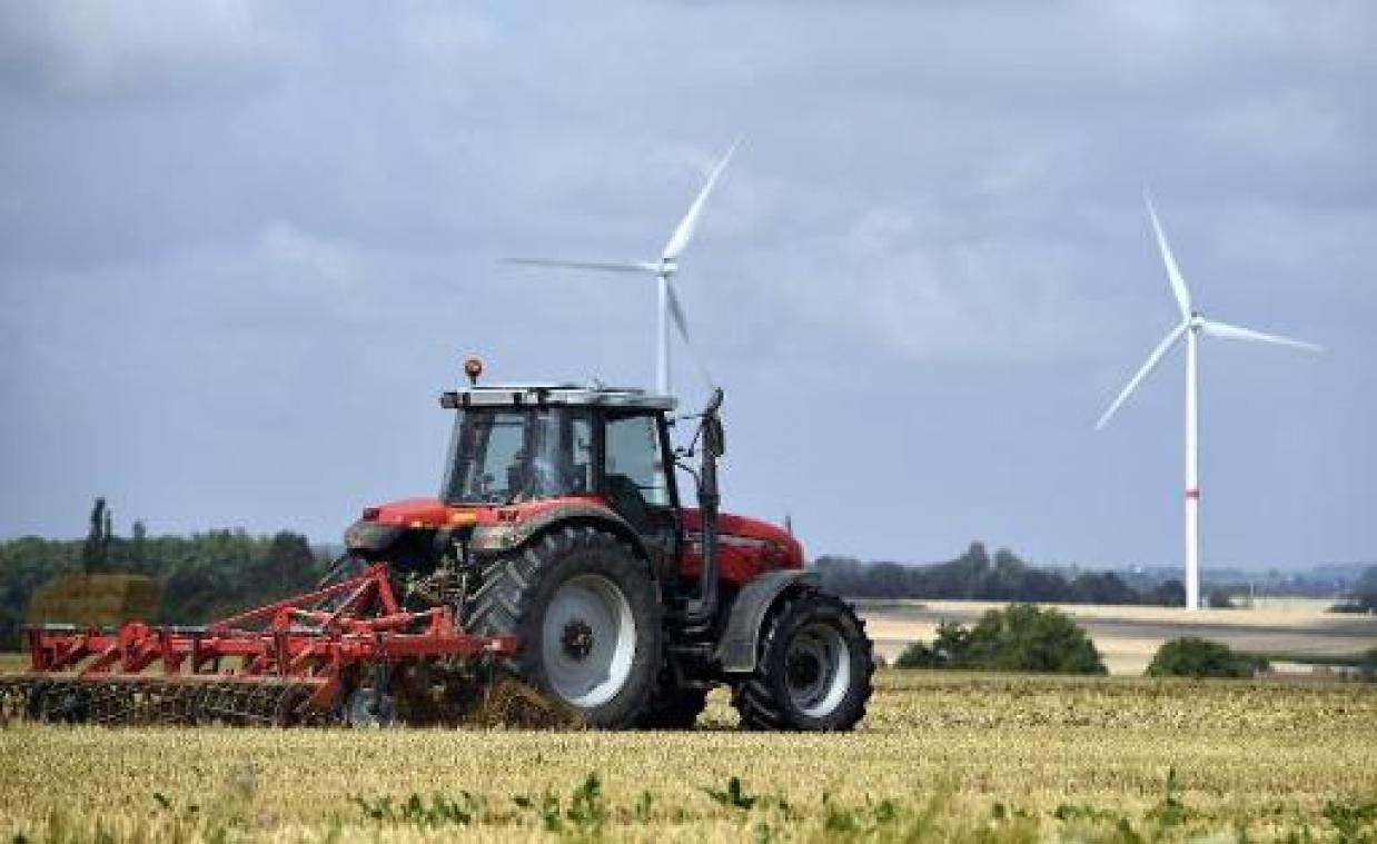 "Vlees van bij ons draagt niet bij aan bosbranden in Amazone", reageert landbouwsector