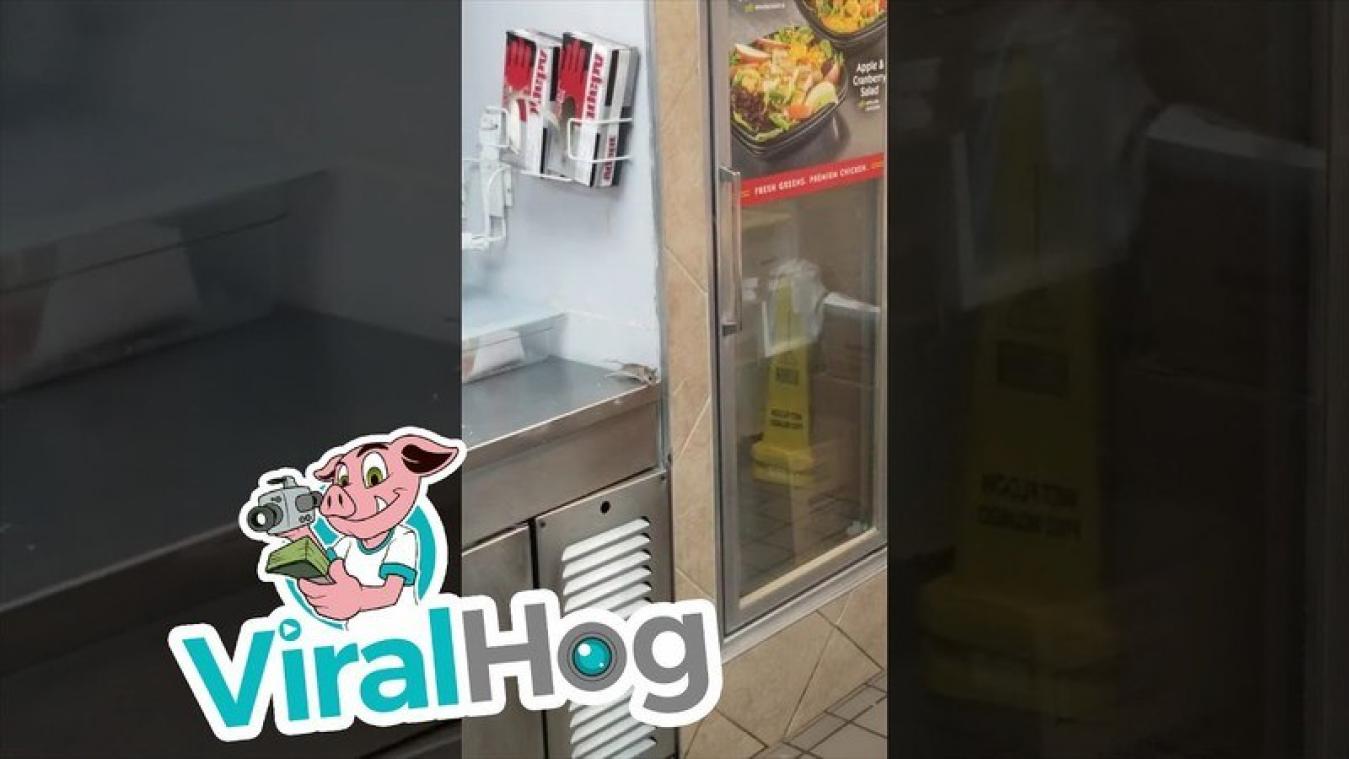 VIDEO. Rat in fastfoodrestaurant komt op gruwelijke wijze om het leven