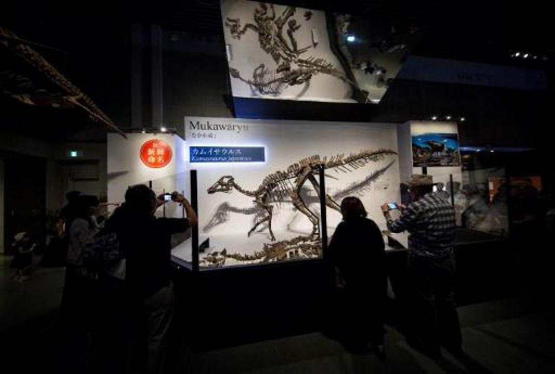 Nieuwe dinosaurussoort ontdekt in Japan