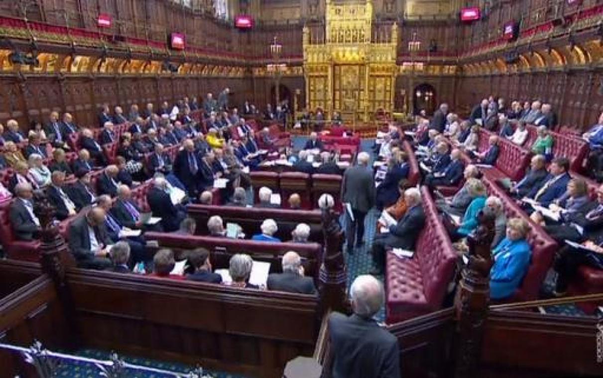 Brits Hogerhuis stemt wet om brexit te verdagen
