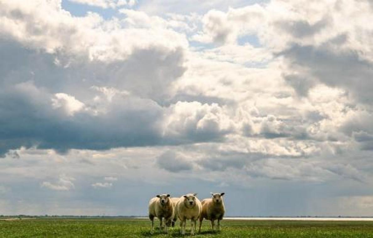 Weerbericht: wisselend bewolkt met mogelijk donderslag