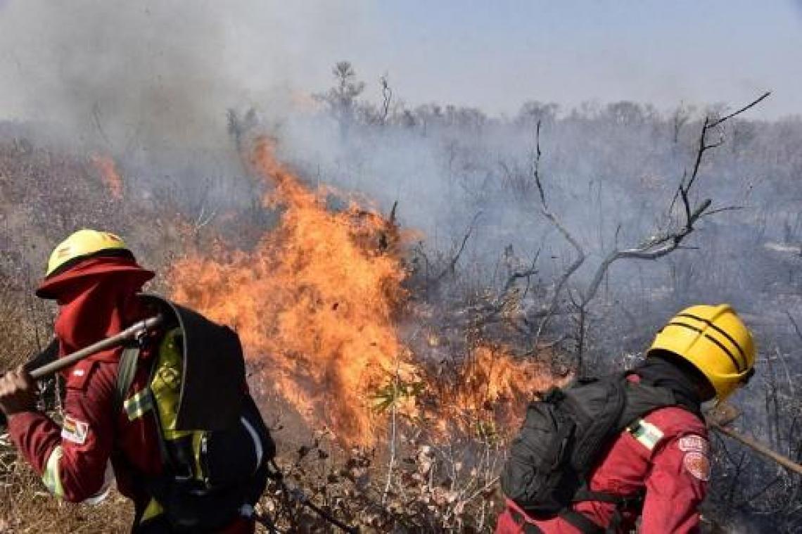 België strijdt mee tegen bosbranden in Amazonegebied