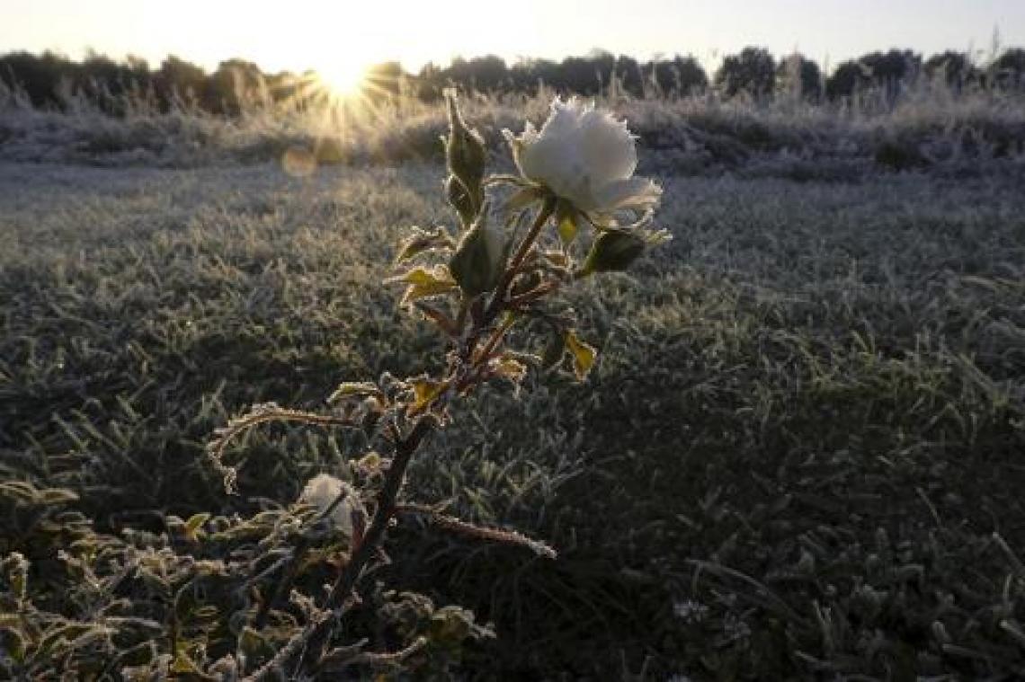 Bijna 800.000 zelfdodingen per jaar
