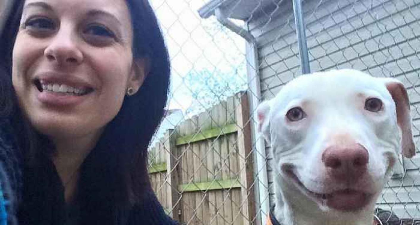 Deze hond kan niet stoppen met lachen