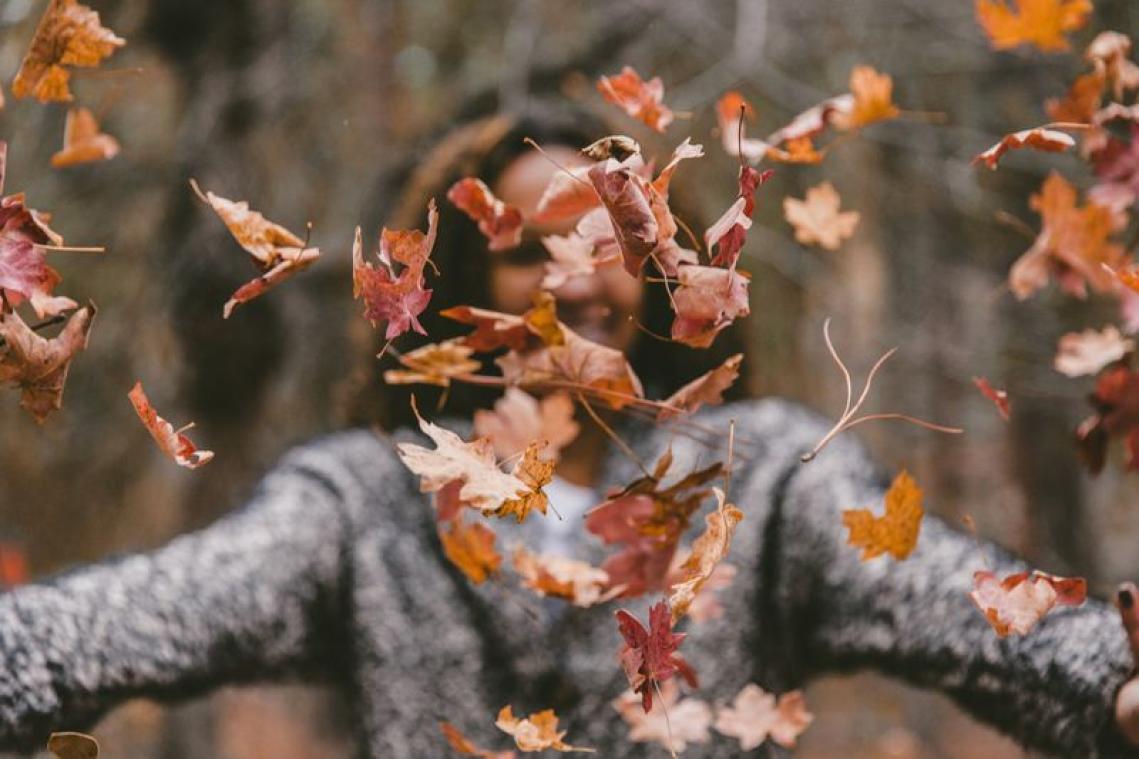 Slechts 11% van de Belgen kiest herfst als favoriet seizoen