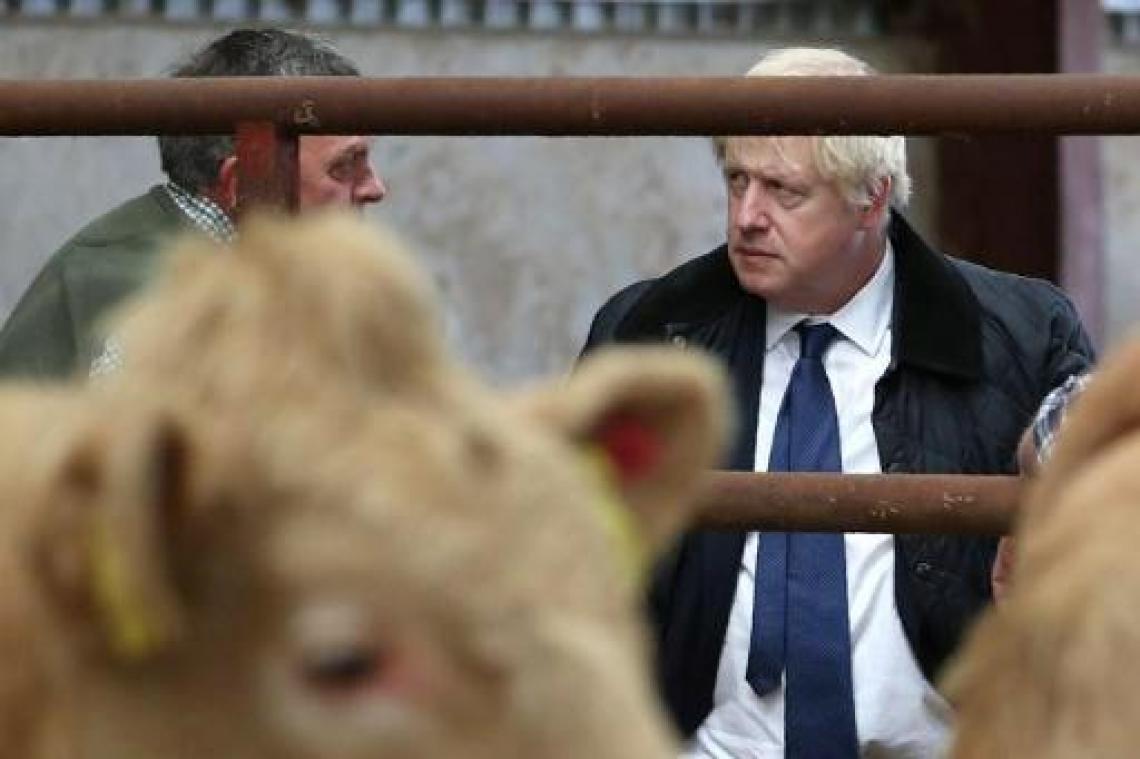 Oppositie eist dat Johnson Brits parlement terugroept na uitspraak Schotse rechtbank