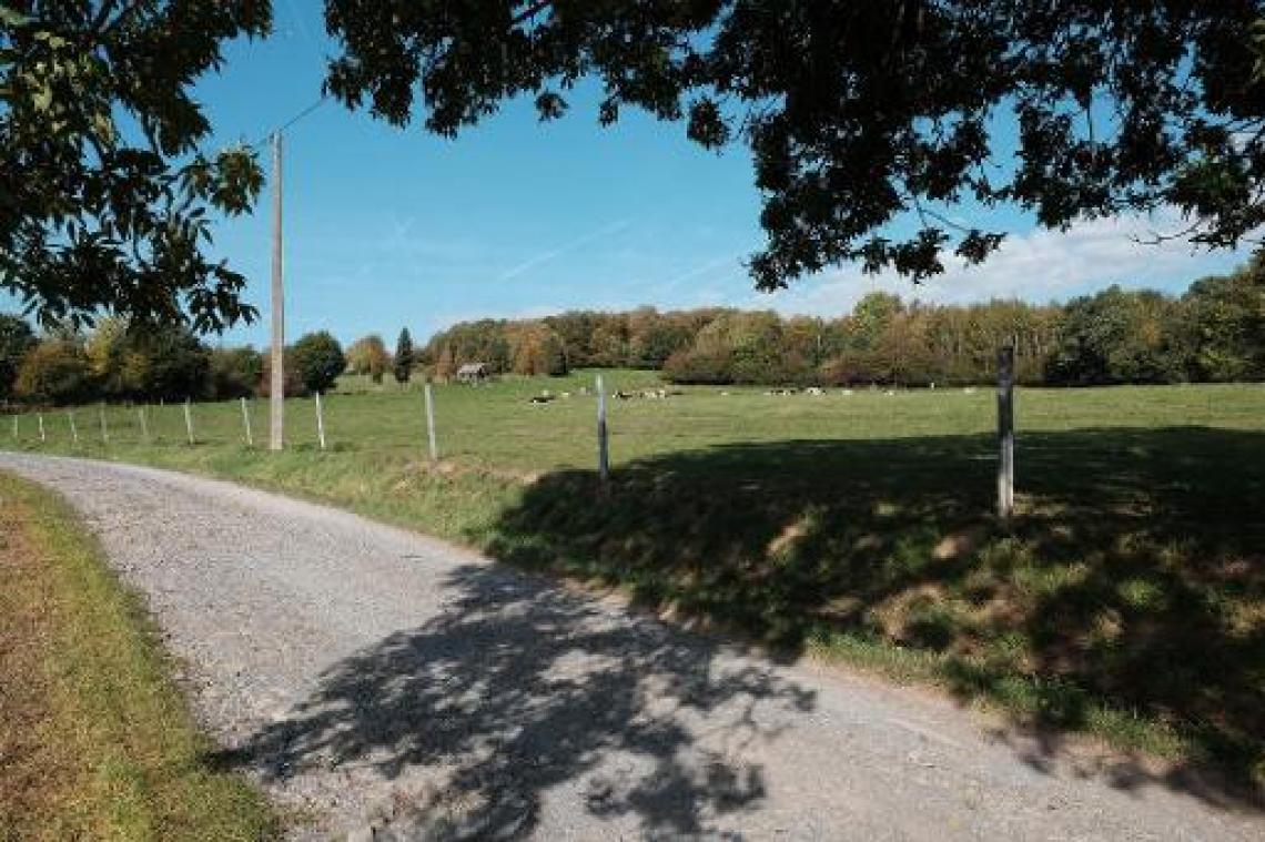 Zon oefent voor komend weekend
