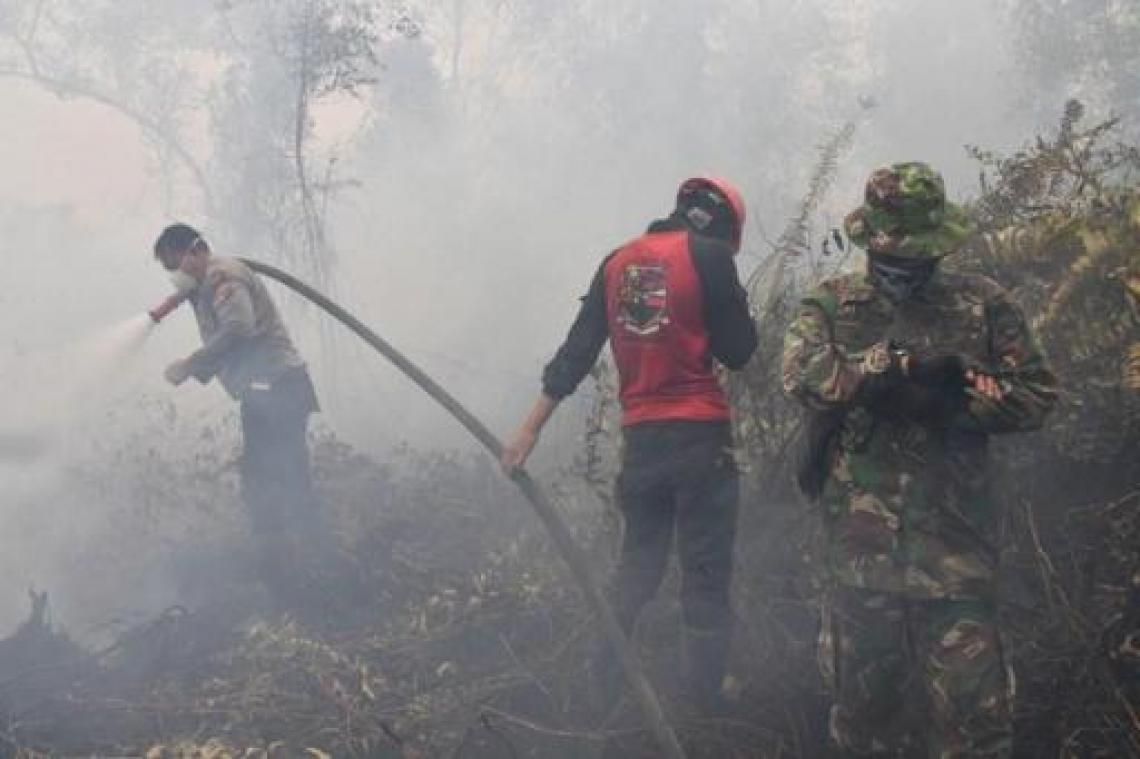 Bijna 200 mensen opgepakt voor bosbranden in Indonesië