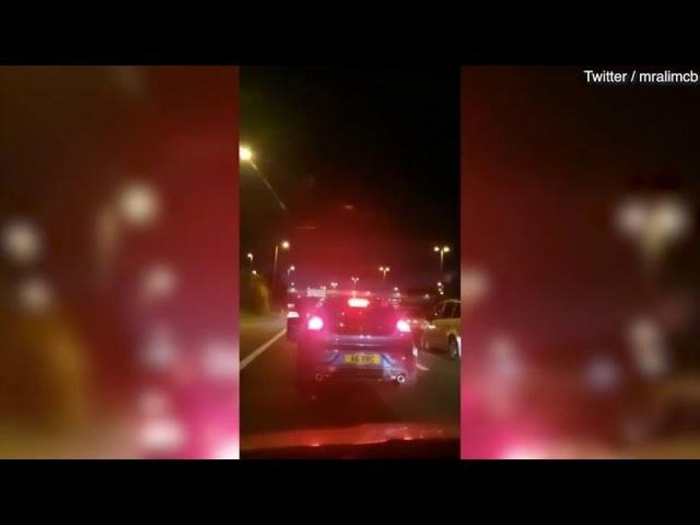 VIDEO. Geitje zorgt voor file op autostrade