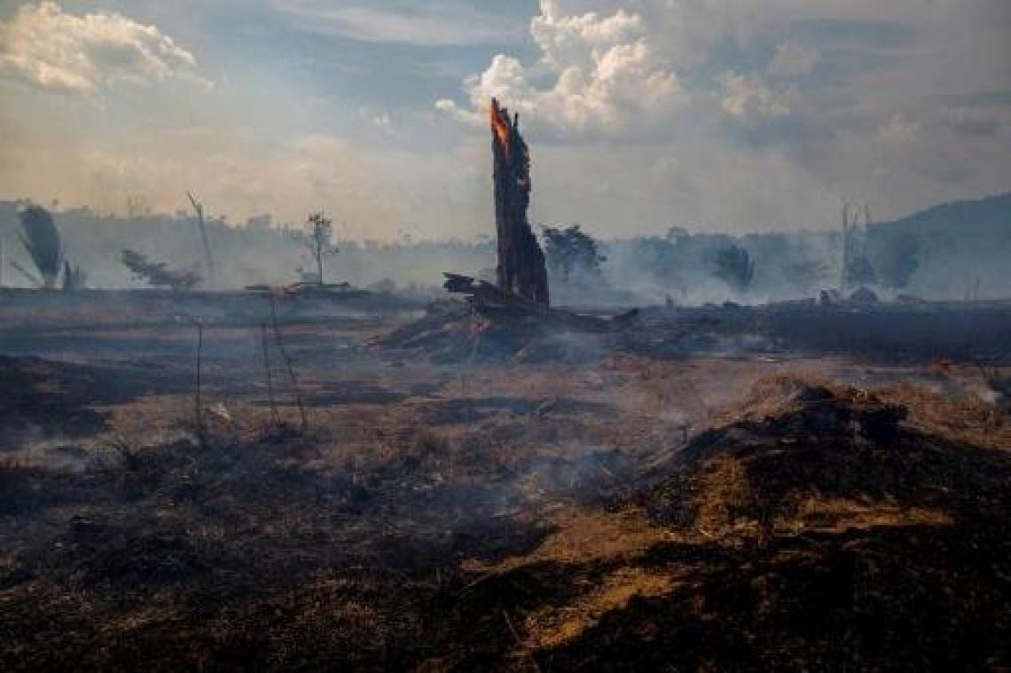 Bosbranden Amazonegebied - Oostenrijks parlement verzet zich tegen Mercosur-akkoord door Braziliaans milieubeleid