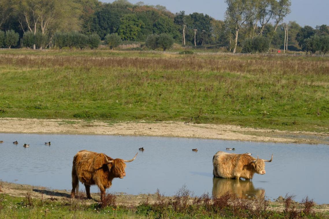 Vijf tips voor het laatste zonnige weekend