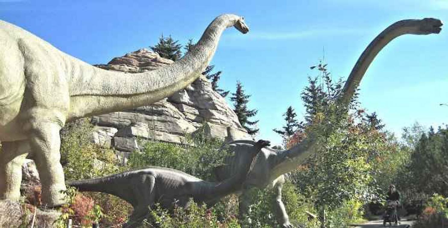 «Dino's stierven voor meteorietinslag al uit»