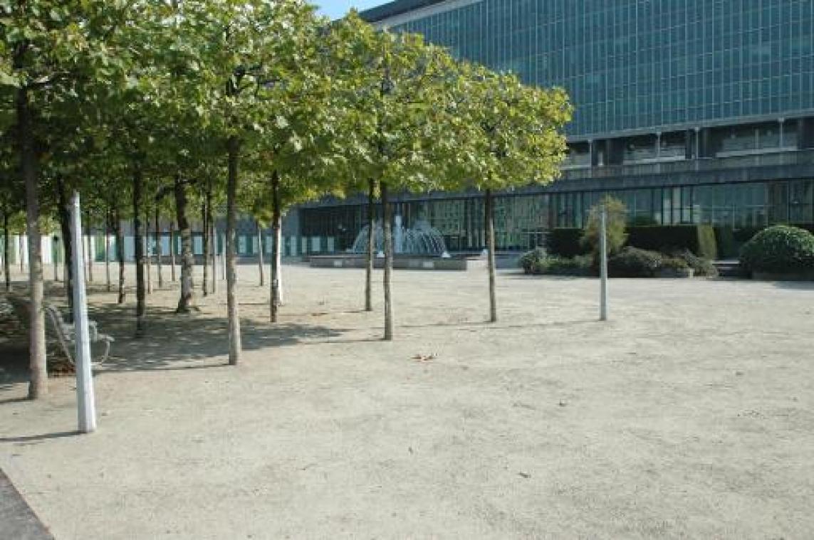 Arme Brusselaars hebben beperkte toegang tot groen in de stad
