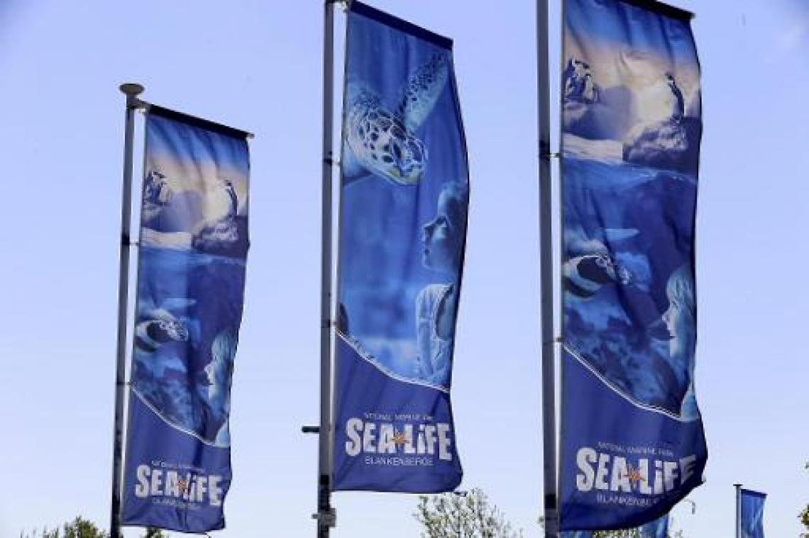 Sea Life Blankenberge doet educatieve presentaties voortaan ook in gebarentaal