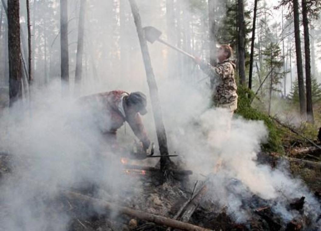 Bosbranden in Siberië geblust