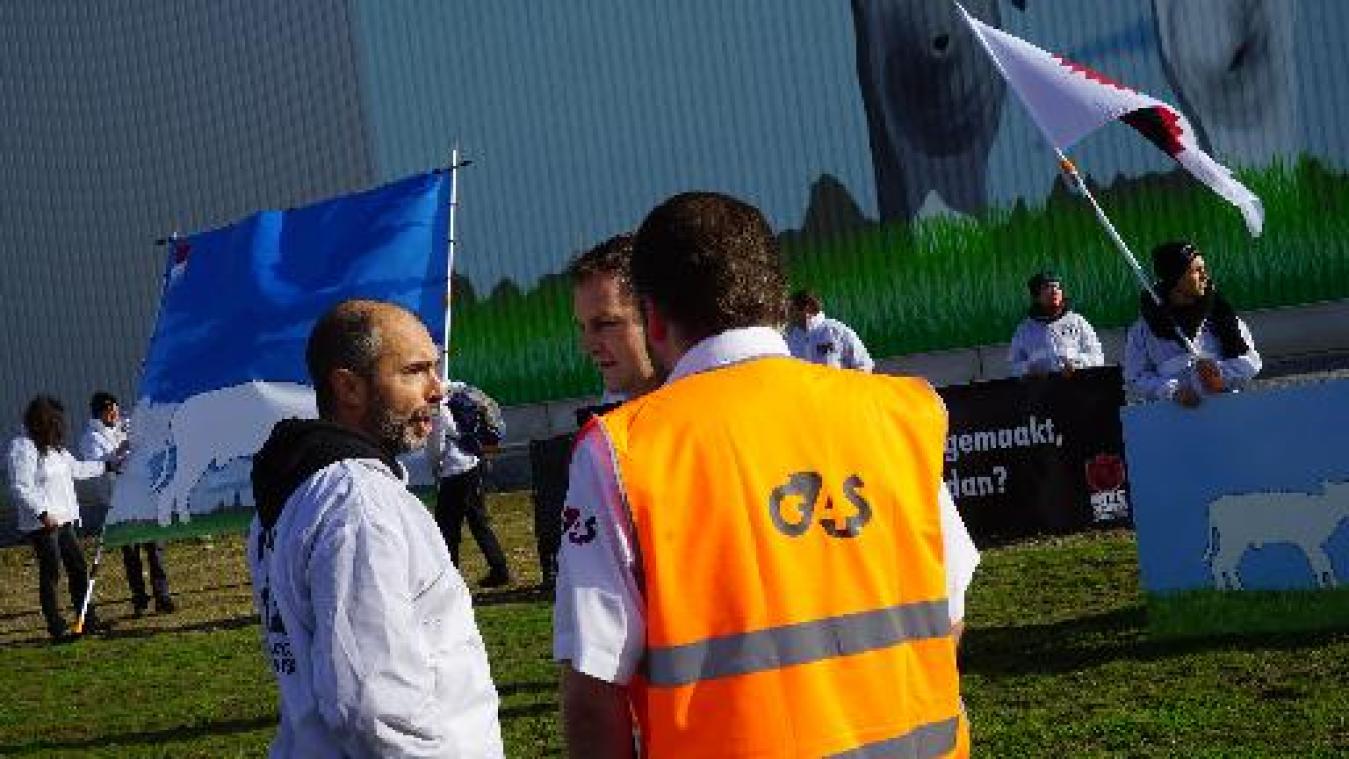 Activisten protesteren bij melkbedrijf: "Waar zijn al die kalfjes gebleven?"