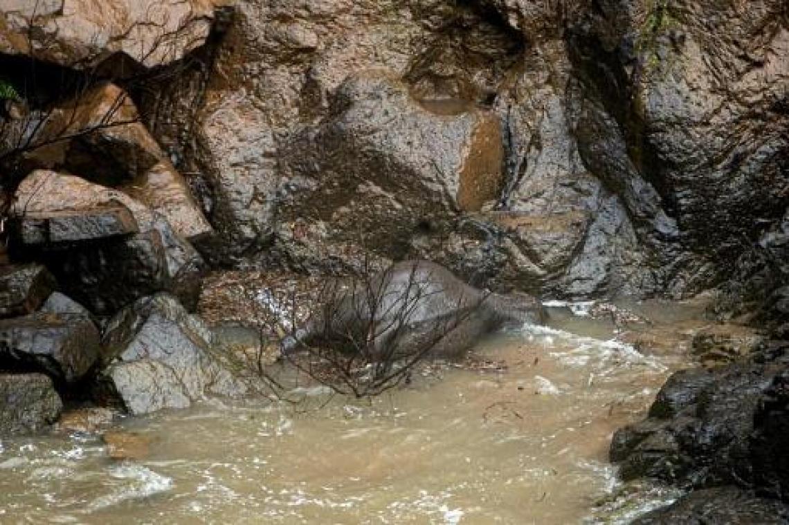Zes olifanten sterven na val van waterval in Thailand