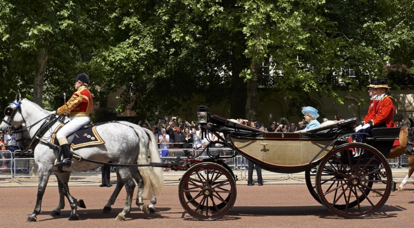 Queen Elizabeth zoekt een nieuwe paardenverzorger