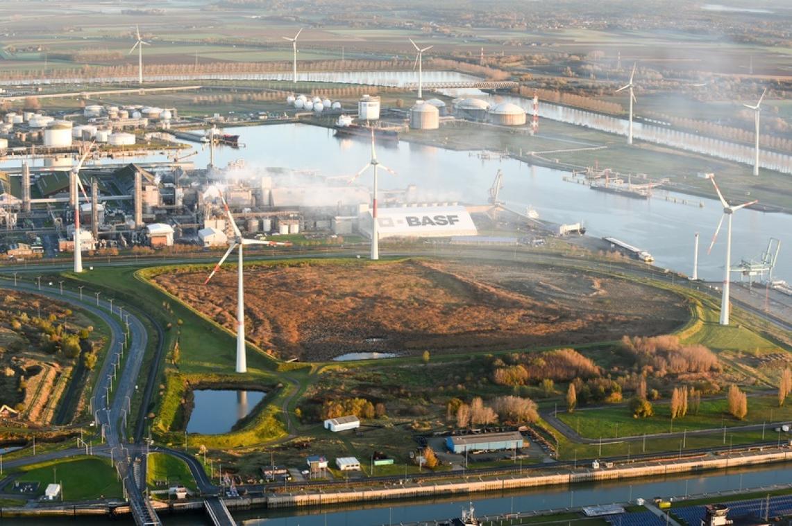 BASF investeert meer dan half miljard euro in site in Antwerpen