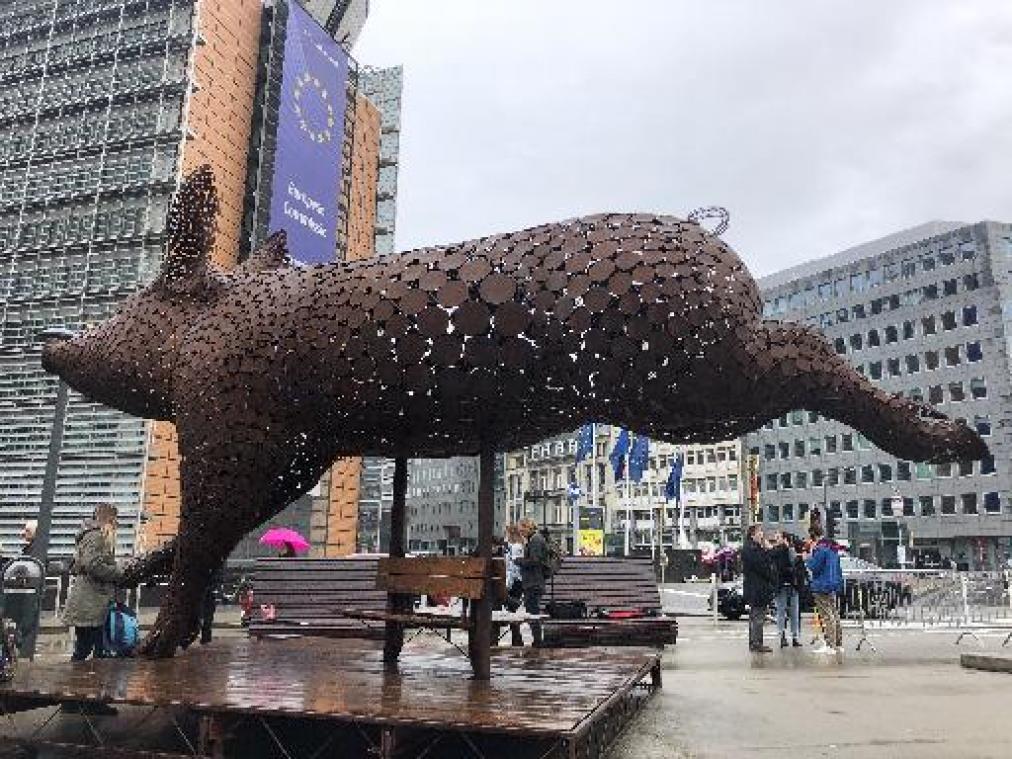 Reusachtig varken kijkt naar de Europese commissie voor verbod op kooien