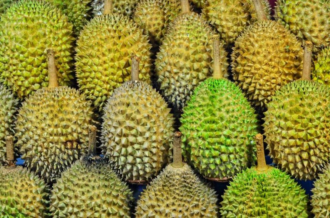 Vliegtuig maakt noodlanding door stinkend fruit