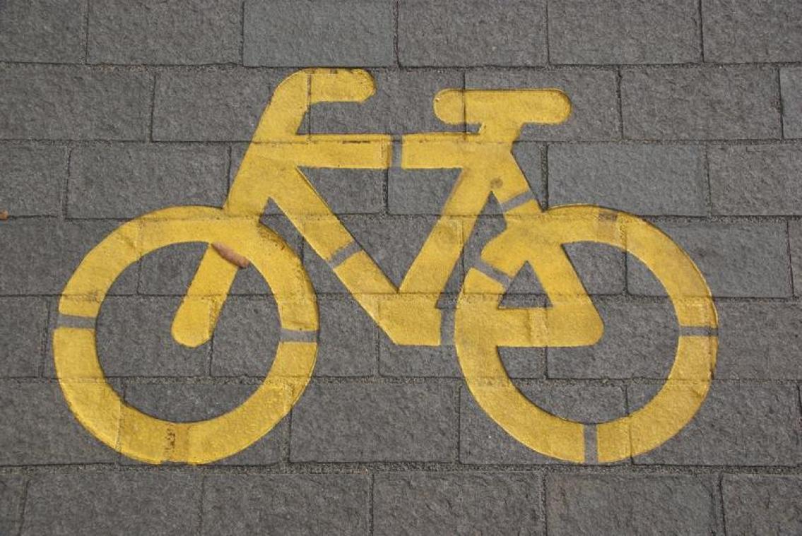 Kwade Japanse opa steelt uit wraak 159 fietszadels