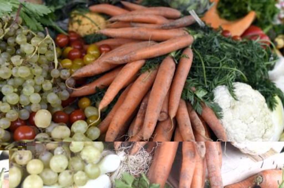 Vierhonderd miljard dollar aan eten gaat jaarlijks verloren voor het in supermarkt belandt