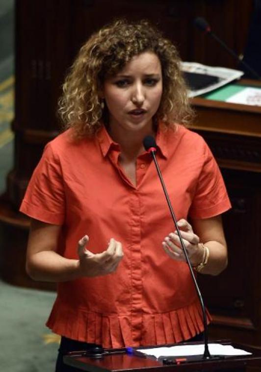 Ecolo-Groen zoekt meerderheid om abortus te depenaliseren