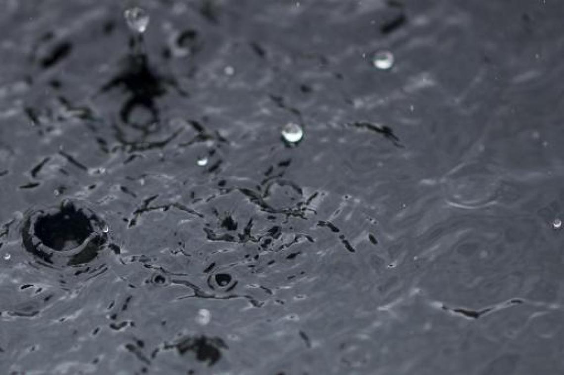 Weerbericht - Regenachtige zondag