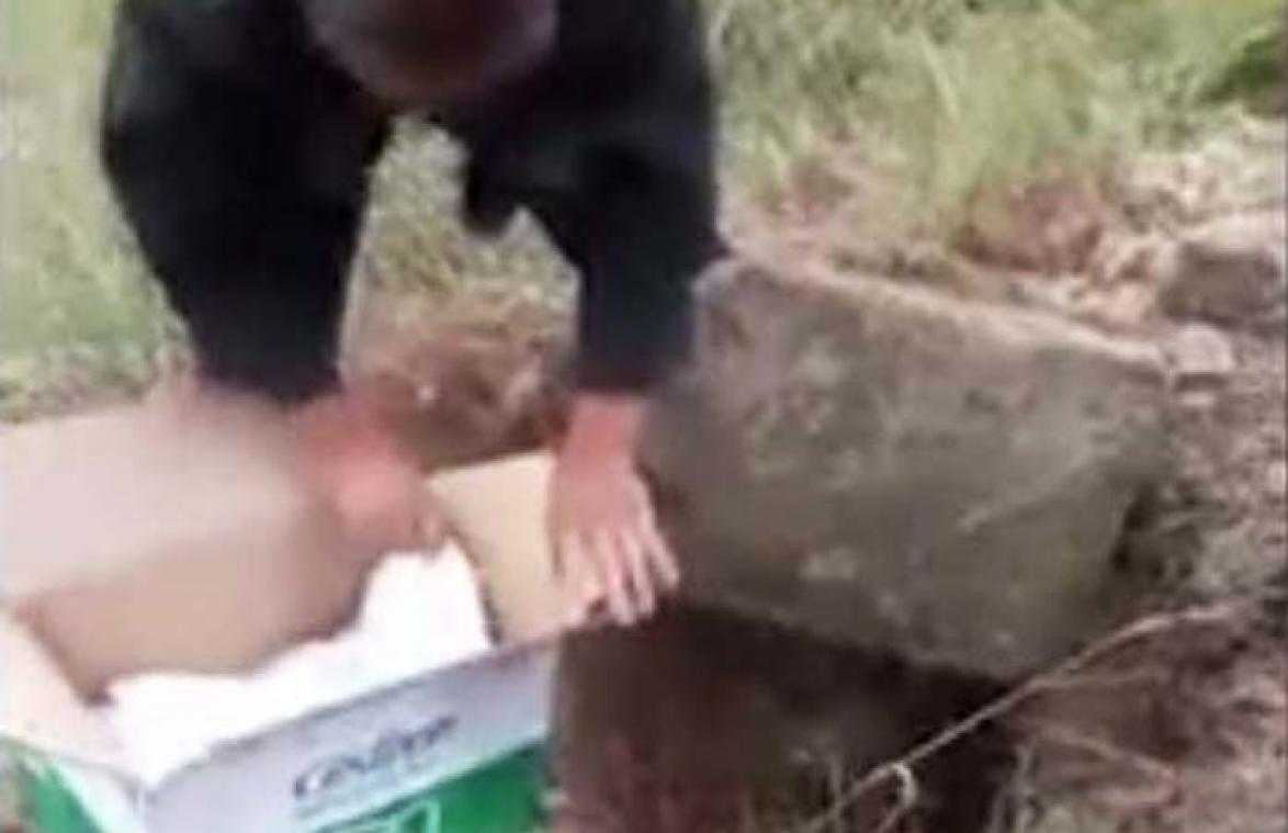 Baby levend opgegraven nadat familie hem dood waande en begroef