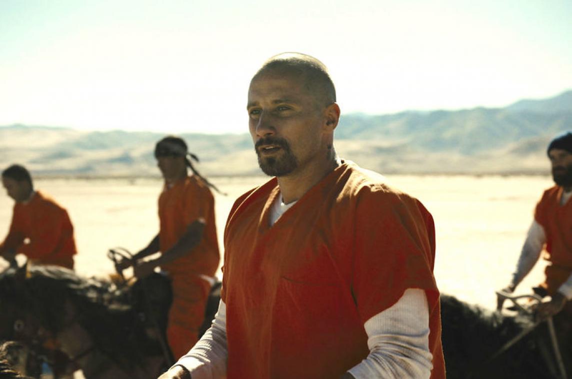 MOVIES. Matthias Schoenaerts over paarden, gevangenissen en 'The Mustang'