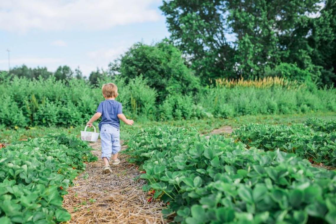 Bucketlist: 150 groene dingen die je gedaan moet hebben voor je sterft